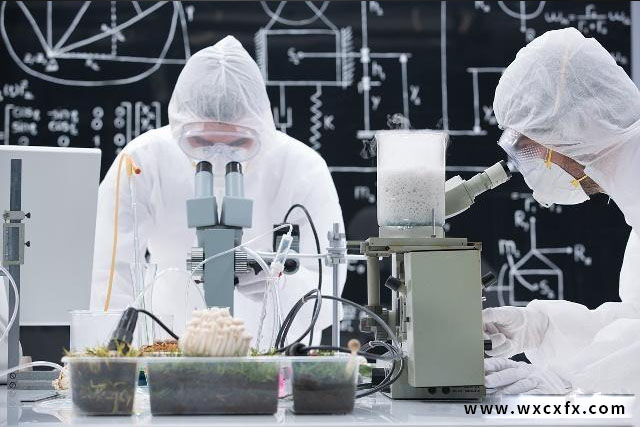 實驗室分析 /cxyq/20190613163548-FnV5J_71MG7CAH8-jn5_Ijz83lVo.jpg